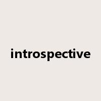 introspective是什么意思