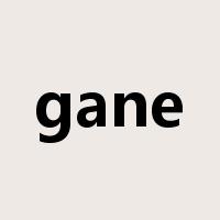 gane是什么意思