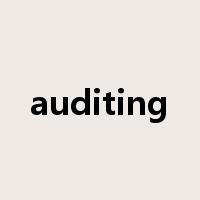 auditing是什么意思