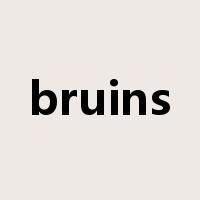 bruins是什么意思