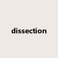 dissection是什么意思