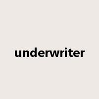 underwriter是什么意思