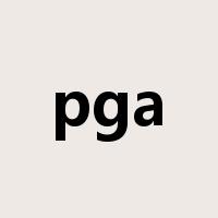 pga是什么意思