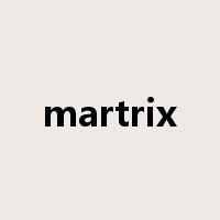 martrix是什么意思