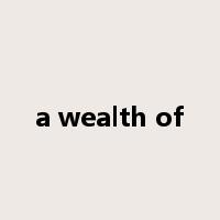 a wealth of是什么意思