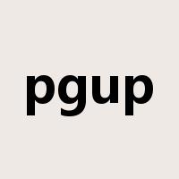 pgup是什么意思