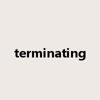 terminating是什么意思