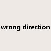 wrong direction是什么意思