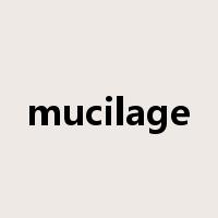 mucilage是什么意思
