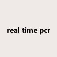 real time pcr是什么意思