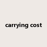 carrying cost是什么意思