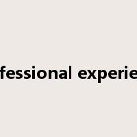 professional experience是什么意思