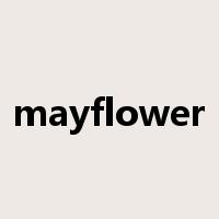 mayflower是什么意思