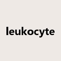 leukocyte是什么意思