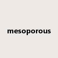 mesoporous是什么意思