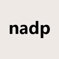 nadp是什么意思