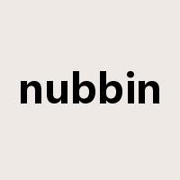 nubbin是什么意思