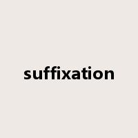 suffixation是什么意思
