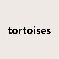 tortoises是什么意思