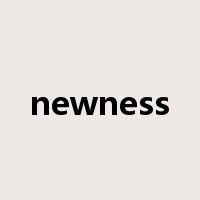 newness是什么意思