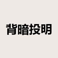 背暗投明是什么意思