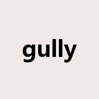 gully是什么意思