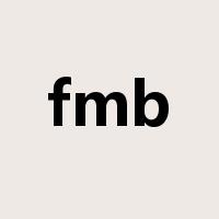 fmb是什么意思