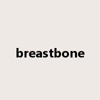 breastbone是什么意思