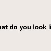 what do you look like是什么意思