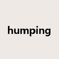 humping是什么意思
