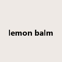 lemon balm是什么意思