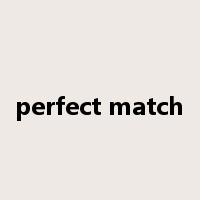 perfect match是什么意思