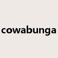 cowabunga是什么意思