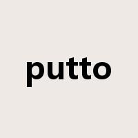 putto是什么意思
