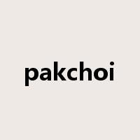 pakchoi是什么意思