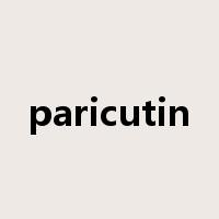 paricutin是什么意思
