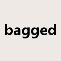 bagged是什么意思