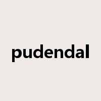 pudendal是什么意思