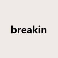 breakin是什么意思