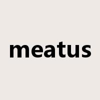 meatus是什么意思