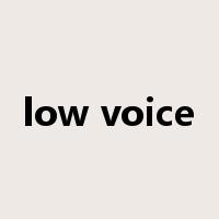 low voice是什么意思