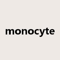 monocyte是什么意思