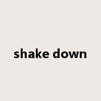 shake down是什么意思