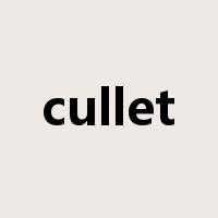 cullet是什么意思