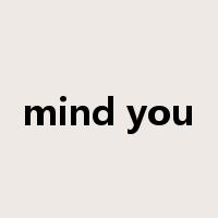 mind you是什么意思