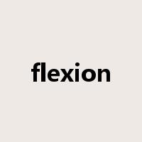 flexion是什么意思
