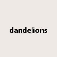 dandelions是什么意思