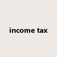 income tax是什么意思