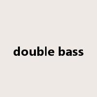 double bass是什么意思