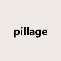pillage是什么意思